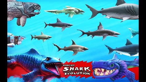 all the sharks in hungry shark evolution